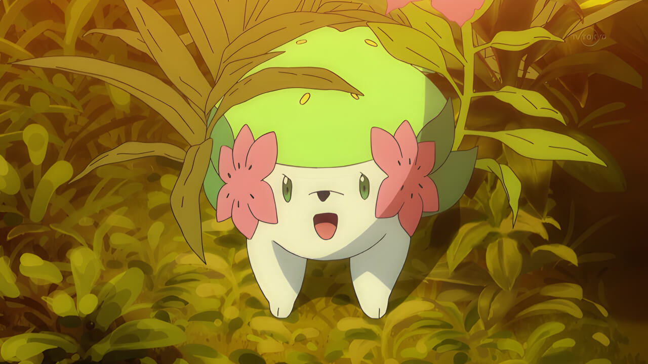 Thần thoại pokemon chap 24 VPokedex