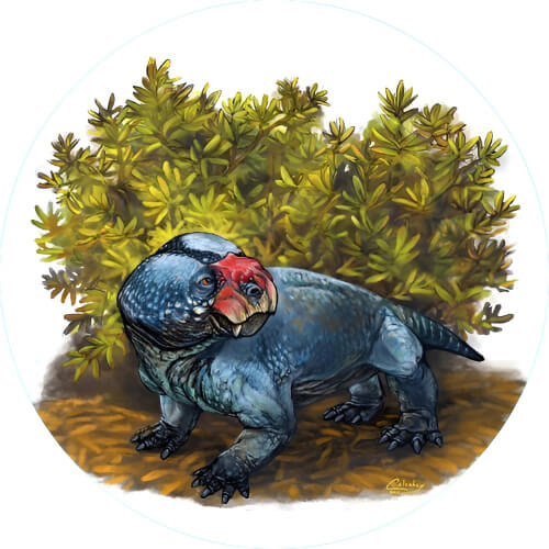 Bulbasaur Bulbasaurus