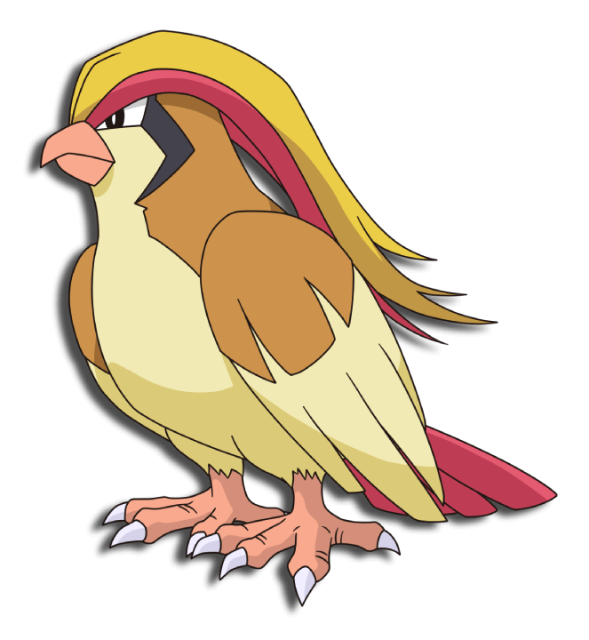 Pidgeot anime VPokedex