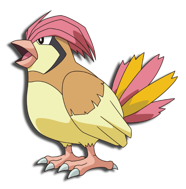 Pidgeotto anime VPokedex