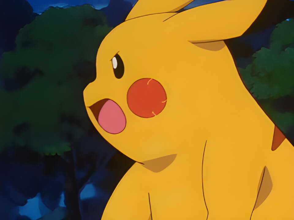 Pikachu Leer VPokedex