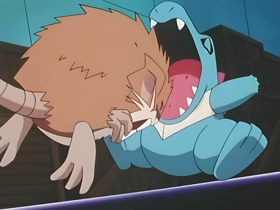 Raticate Tackle VPokedex
