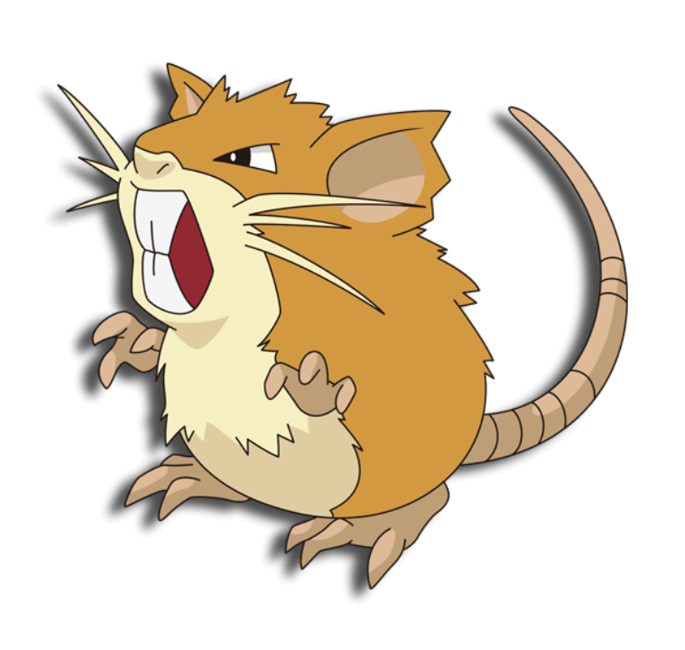 Raticate anime VPokedex