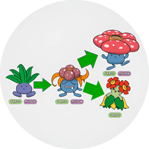 Bellossom's type
