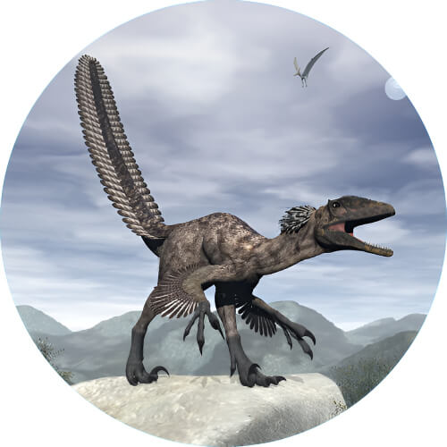 Charmeleon Deinonychus design