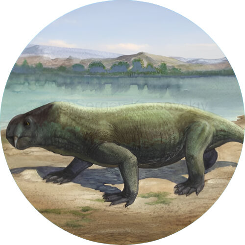 Ivysaur Dicynodon design