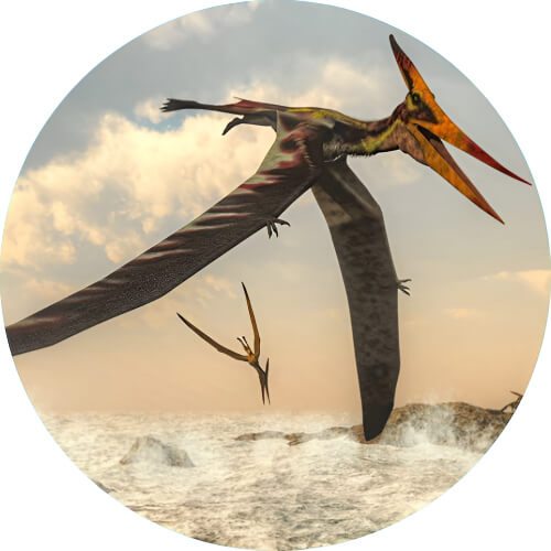 Mega Charizard Y Pterosaur design