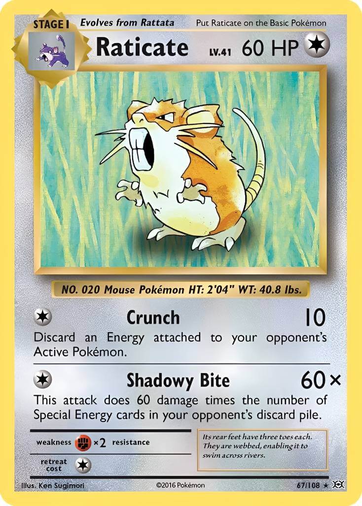 Raticate TCG VPokedex