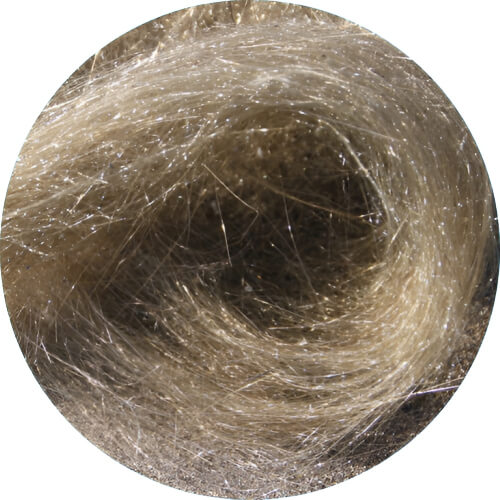 Alolan Diglett Pele's hair design