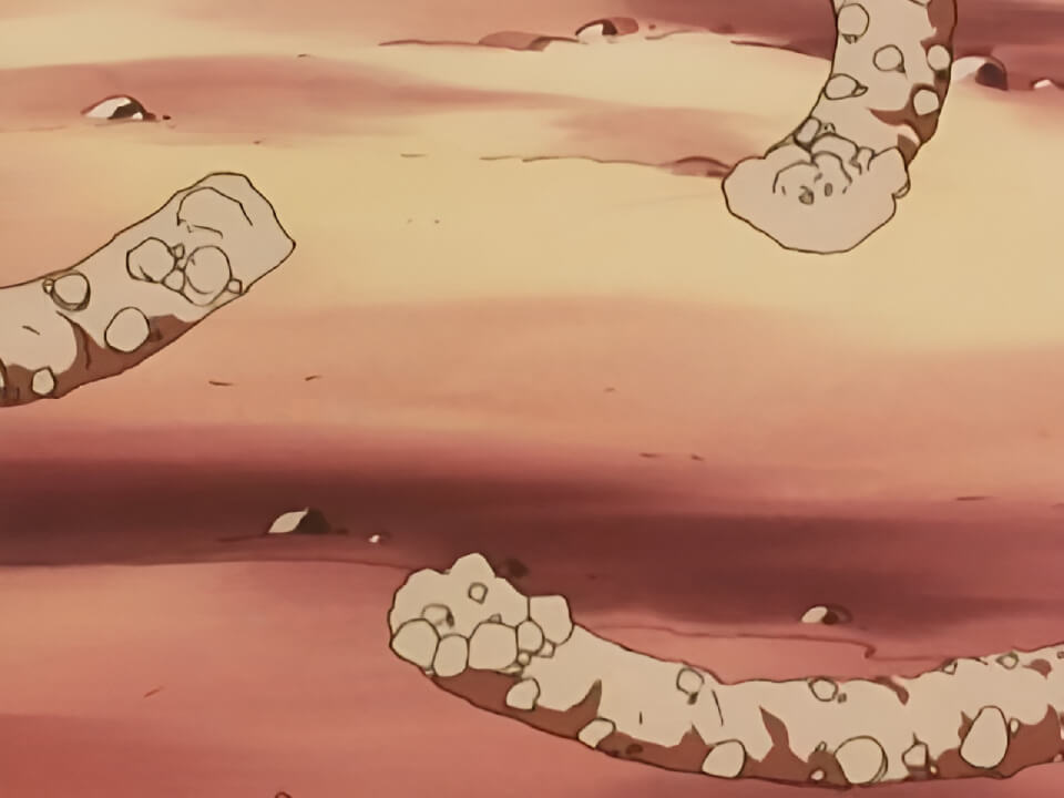 Diglett Dig VPokedex