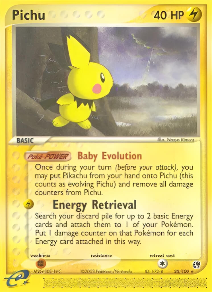 Gia đình nhỏ của Pichu VPokedex